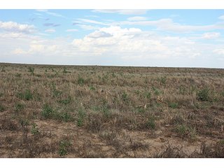 Property photo 73 - LAND AUCTION, 3255+/- Acres offered in 13 Tracts